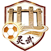 灵武灵隆队